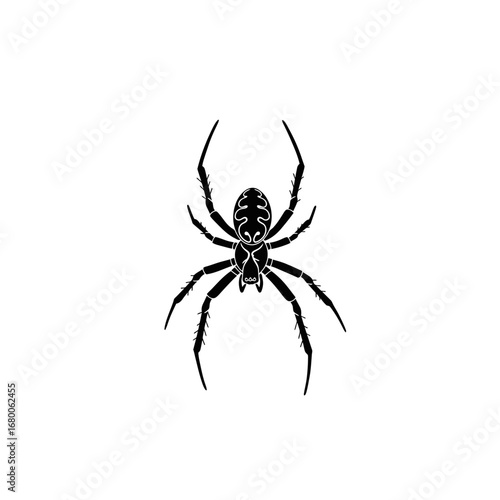 Black And White Detailed Spider Illustration