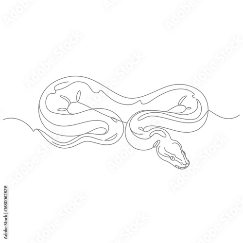 Coiled Snake Line Drawing Illustration