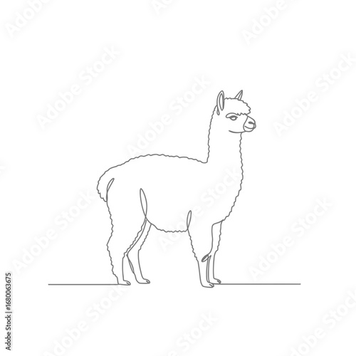 Grey Alpaca Line Art Illustration on White Background