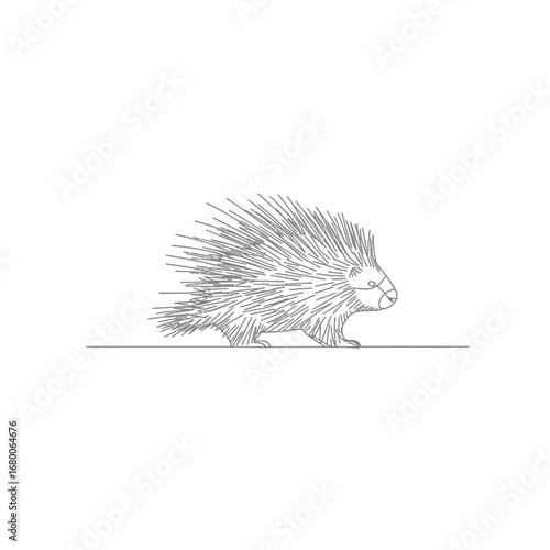 Grey Porcupine Line Art Illustration