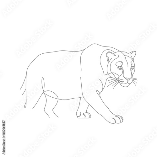Grey Scale Line Drawing of a Cougar Walking