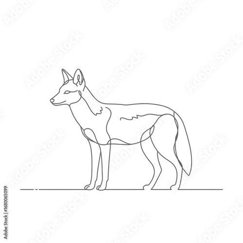Grey Wild Dog Line Art Illustration