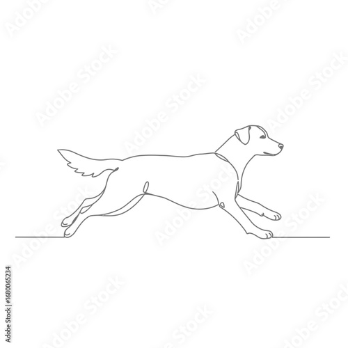 Greyhound Dog Running Line Art Illustration