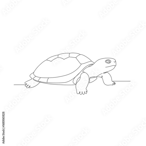 Line Art Drawing of a Turtle on White Background