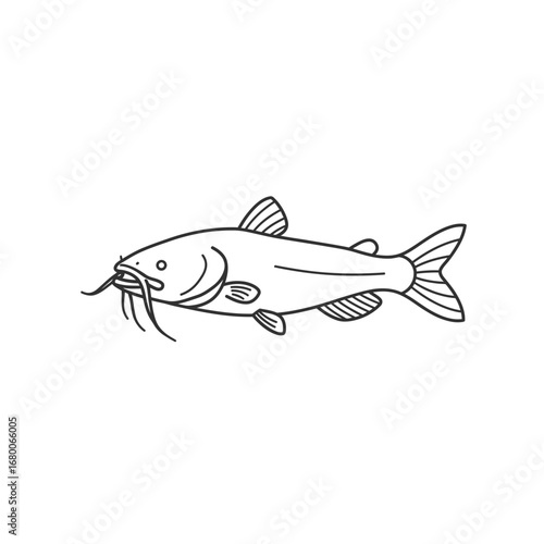 Line Art Illustration of a Catfish on White Background