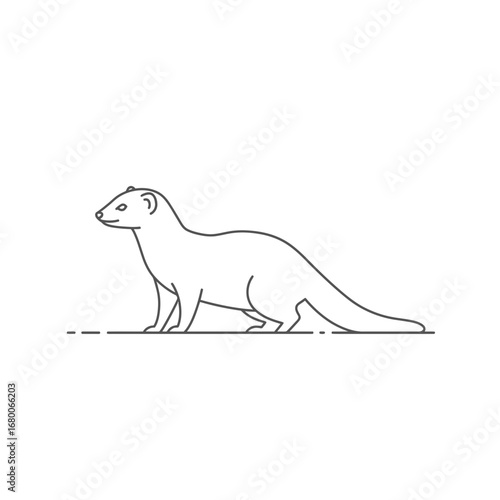 Line Art Illustration of a Mongoose