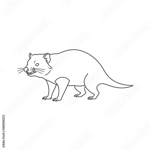 Line Art Illustration of a Quoll