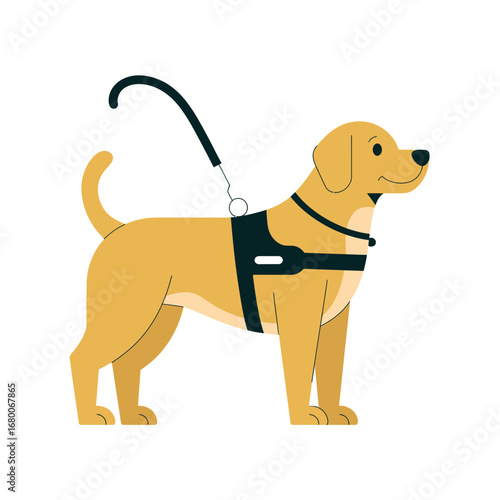 Dog on Leash with Harness – Pet Walking and Training Illustration