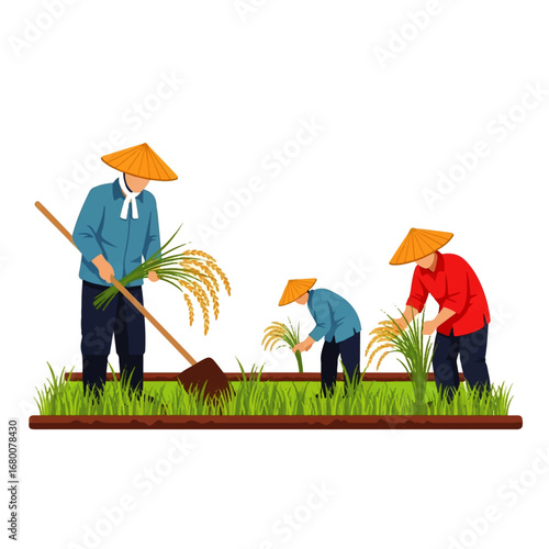 Three Asian farmers diligently harvest golden rice in a lush green paddy field, showcasing a serene and hardworking scene.