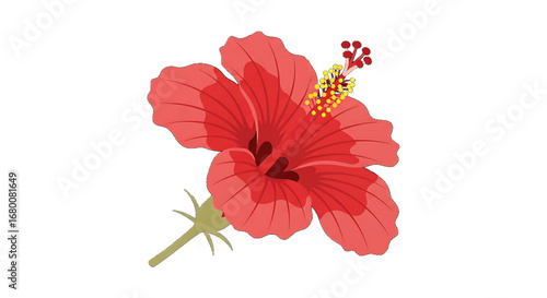 Close-up of a vibrant red hibiscus flower.