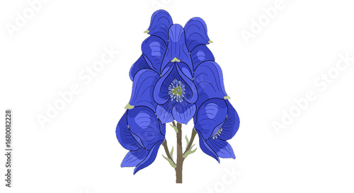 Close-up illustration of a vibrant blue flower with detailed petals and stem.