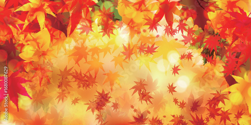 秋　紅葉　風景　背景	