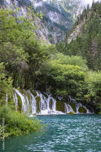 waterfall in the forest,Jiuzhaigou