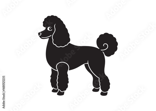 poodle silhouette vector design isolated on white background, pet breed illustration.