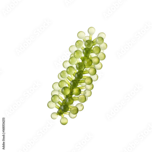 Fresh vibrant sea grapes glistening with dew, a healthy ocean delicacy for culinary inspiration