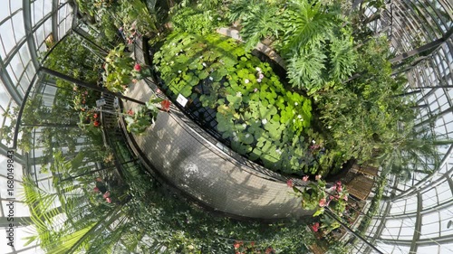 360度カメラで見た熱帯温室