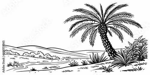 Minimal hand-drawn vector sketch with black lines, featuring a date palm with rich fronds, desert greenery, and oasis vegetation in ink style.