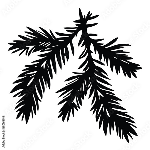 Silhouette of a pine branch with needles on a white background