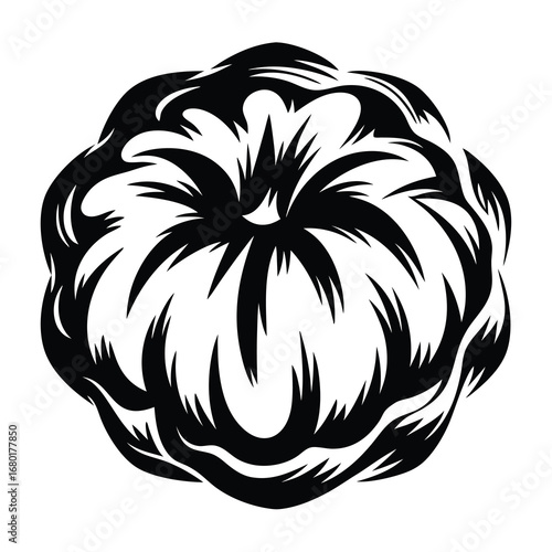 Monochromatic stylized squash or pumpkin design with radial symmetry and sharp lines