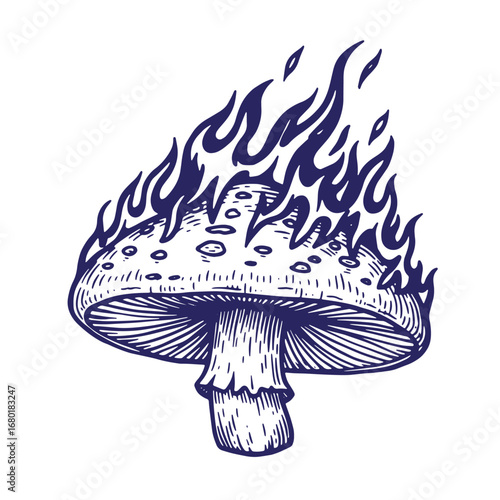 Artistic engraved illustration depicting a burning mushroom with fiery flames on white background
