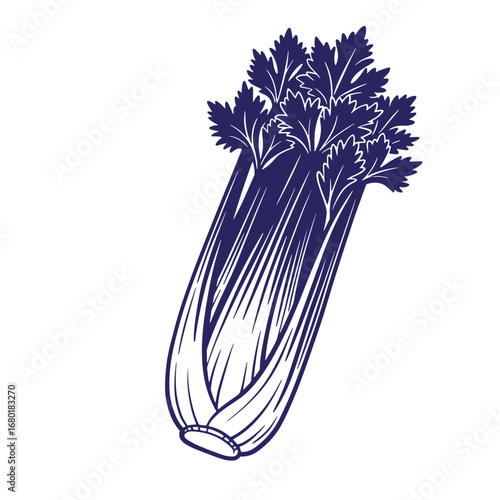 Artistic blue line drawing of fresh celery stalk with leaves on a white background