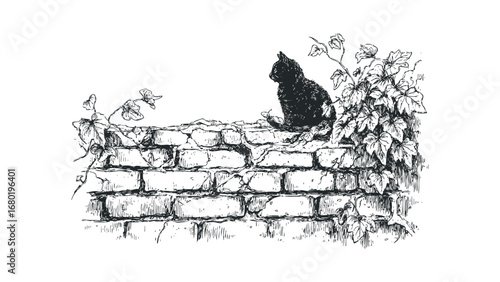 Black cat perched on weathered brick wall with climbing ivy vine. Vector hand drawn illustration