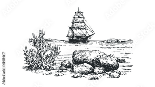 Vintage sailing ship navigating calm waters near rocky shoreline with coastal plants. Vector hand drawn illustration