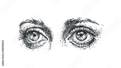 Detailed Sketch of Human Eyes with Lashes and Eyebrows on Transparent Background. Vector hand drawn illustration