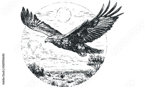 Eagle soars over sunlit landscape in detailed sketch. Vector hand drawn illustration