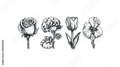 Hand drawn ink floral arrangement with rose tulip and pansy. Vector hand drawn illustration