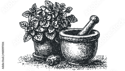 Potted herbs and grinding tools in a still life composition. Vector hand drawn illustration