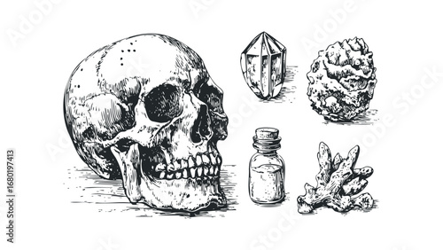 Vintage drawing of a human skull, crystal, rough stone, and specimen jar. Vector hand drawn illustration
