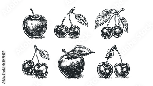 Hand Drawn Apples and Cherries on Transparent. Vector hand drawn illustration