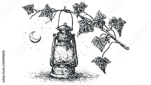 Old lantern hanging from ivy vine with crescent moon and stars. Vector hand drawn illustration