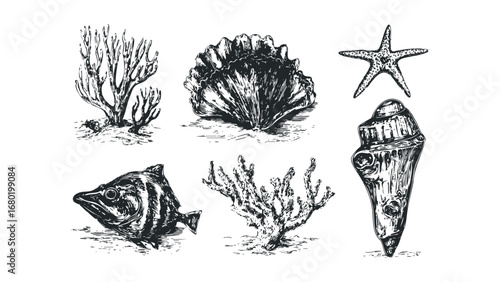 Vintage Ocean Life Collection With Fish, Shells, and Coral. Vector hand drawn illustration