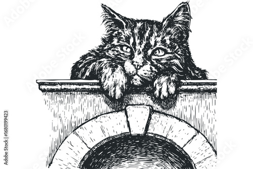 Whiskered feline peeking over stone ledge with arched opening below. Vector hand drawn illustration