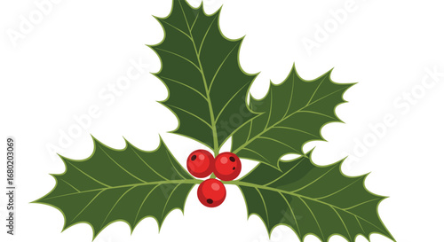 Vibrant holly sprigs with deep green leaves and bright red berries, perfect for festive holiday designs.