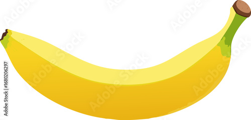 Fresh Yellow Banana Fruit Illustration.