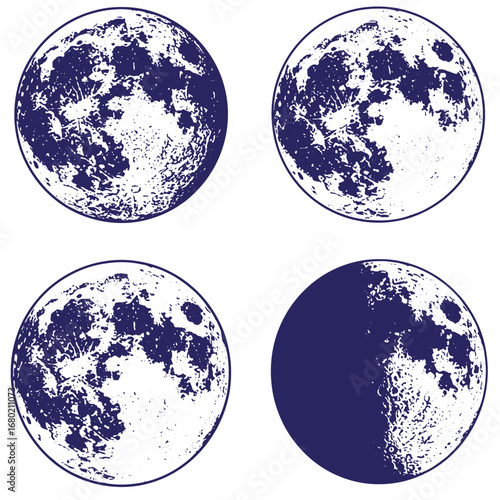 Detailed dark blue moon phases set against a clean white background in vector style