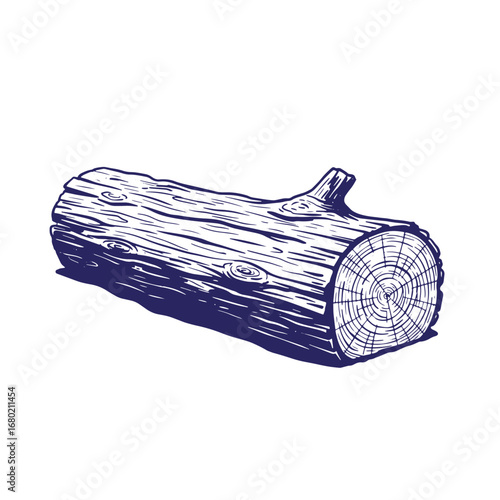 Detailed hand drawn illustration of a log cut with annual rings isolated on white background