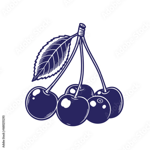 Elegant vintage cherry illustration featuring delicious fruits and a green leaf on white background