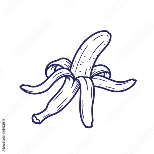 Illustration of a peeled banana with open peelings on a clean white background