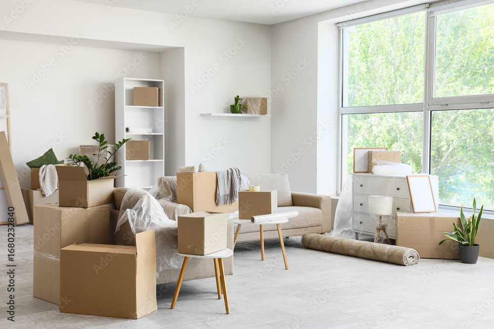 Fototapeta premium Grey sofas with cardboard boxes in living room on moving day