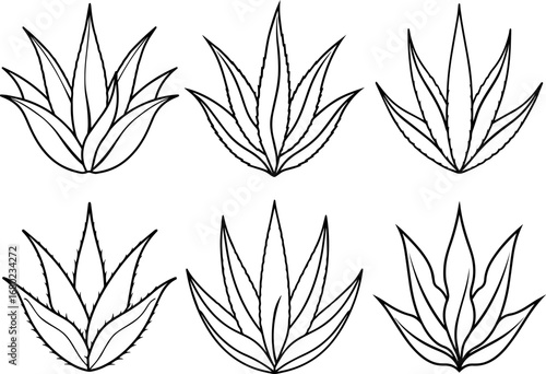 Set of aloe vera leaf outline coloring book page vector illustration line art digital drawing
