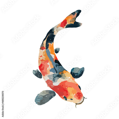 Colorful Koi Fish Swimming Upward with Detailed Watercolor Texture