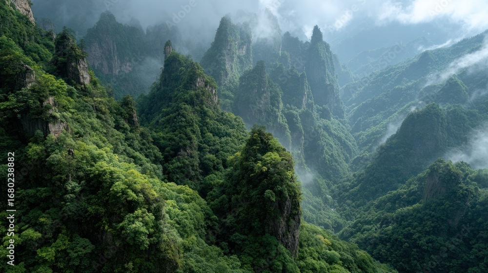 Obraz premium A mesmerizing view of a lush, vibrant mountain range, shrouded in mist