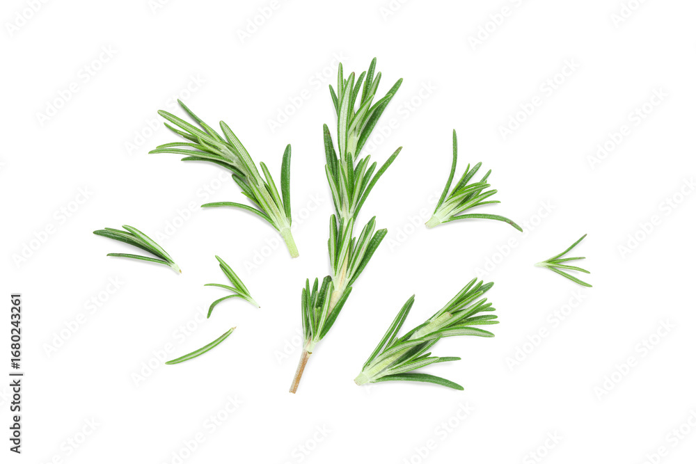 Fototapeta premium Twig and leaves of fresh rosemary isolated on white background, closeup