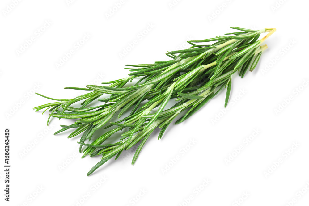 Fototapeta premium Fresh rosemary twigs isolated on white background, closeup