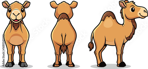 Cute Cartoon Camel Character Turnaround Front Back Side Views Vector illustration