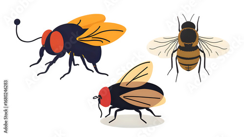 set of flies with transparent background